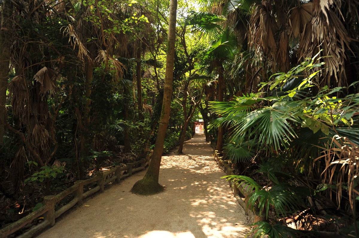 ⛩️ 아오시마 신사 (아오시마 진자) 이미지 8